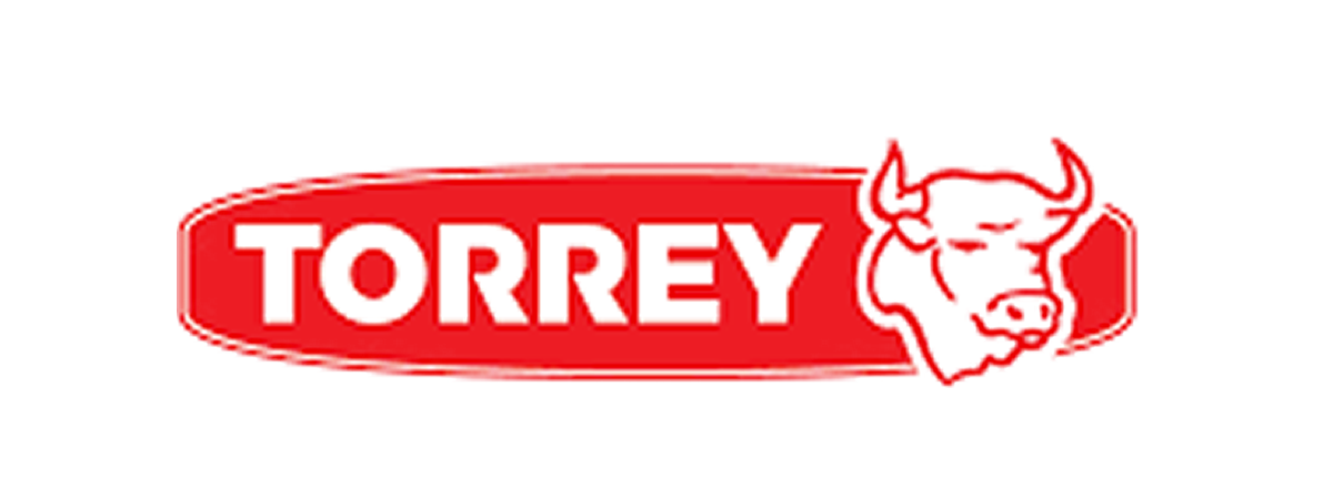 servicio-torrey-monterrey